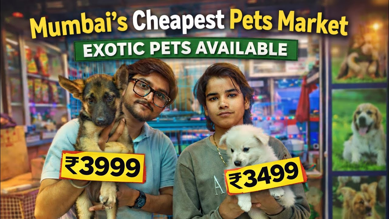Mumbai’s Cheapest Pets Market 🐶 | Exotic Pets at Affordable Prices | Crawford Market Mumbai