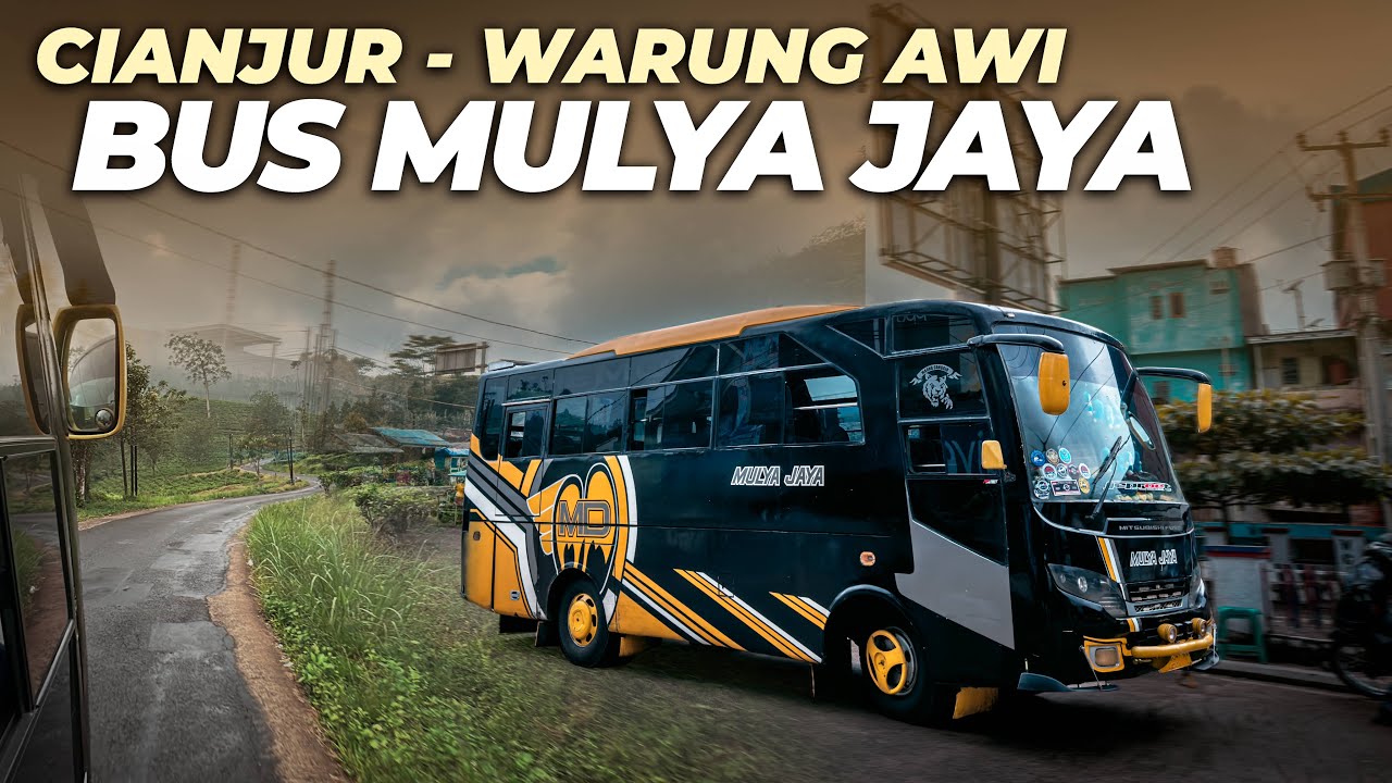 Rute Bus umum ini Melewati Perkebunan Teh - Trip Bus Mulya Jaya (Cianjur -  Warung Awi) #2