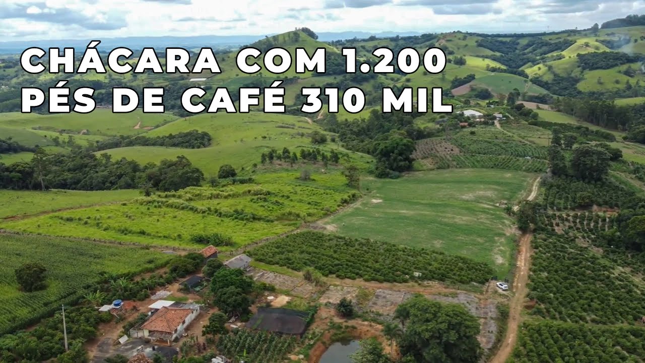 CHÁCARA COM EXCELENTE TOPOGRAFIA EM IBAITI/PR | 28.000 m² | NASCENTE | PRÓXIMA DO ASFALTO - CÓD 2602