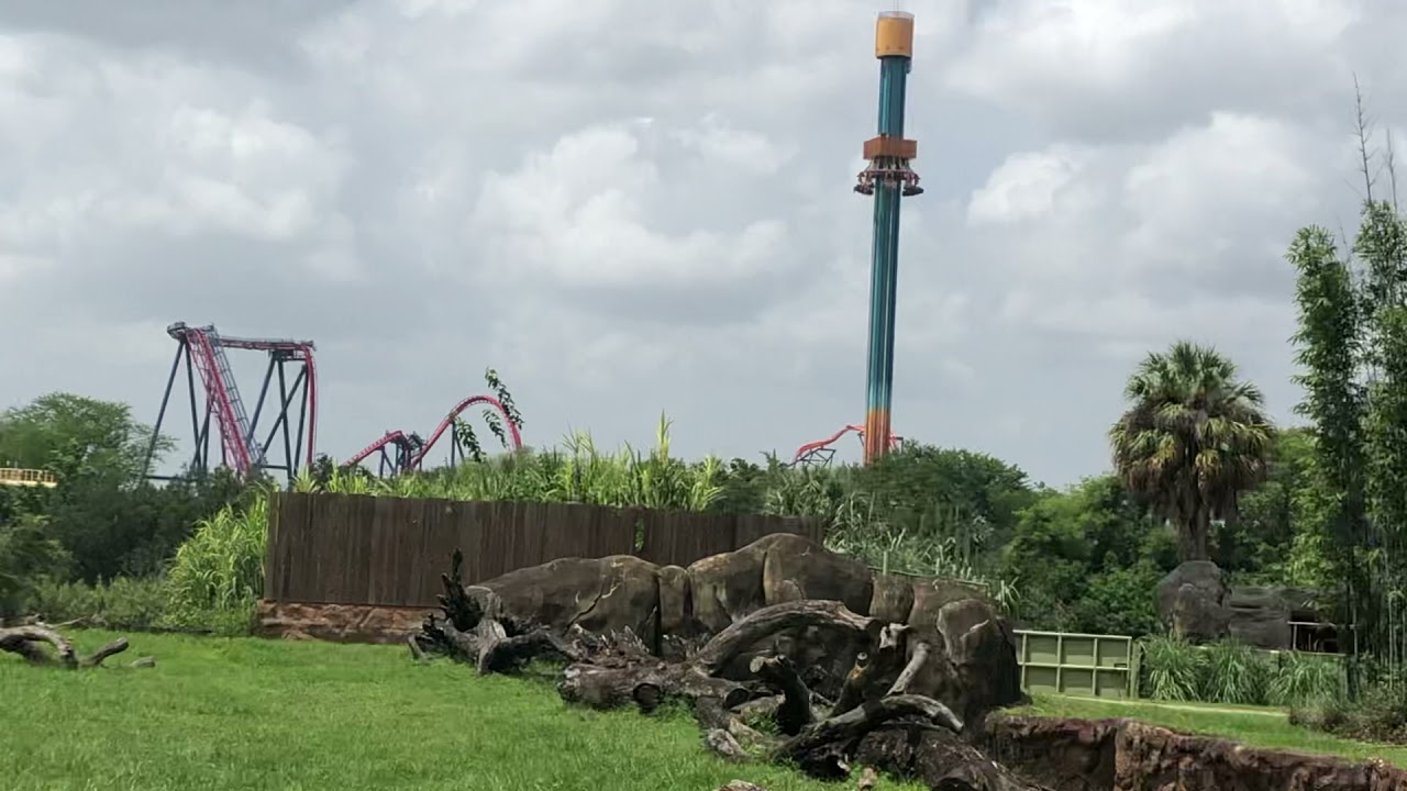 Train Ride Busch Gardens Tampa 8/25/21