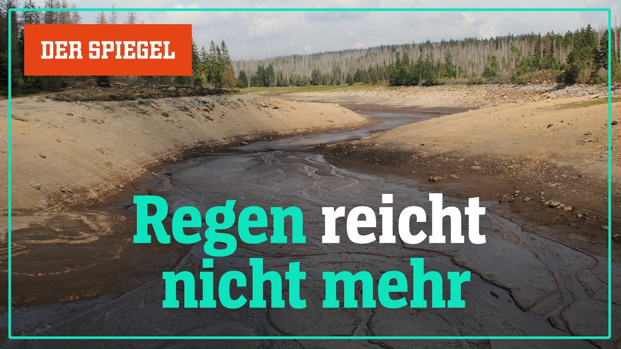 Extremwetter in Deutschland: Was gegen Dürren in der Klimakrise hilft – Shortcut | DER SPIEGEL