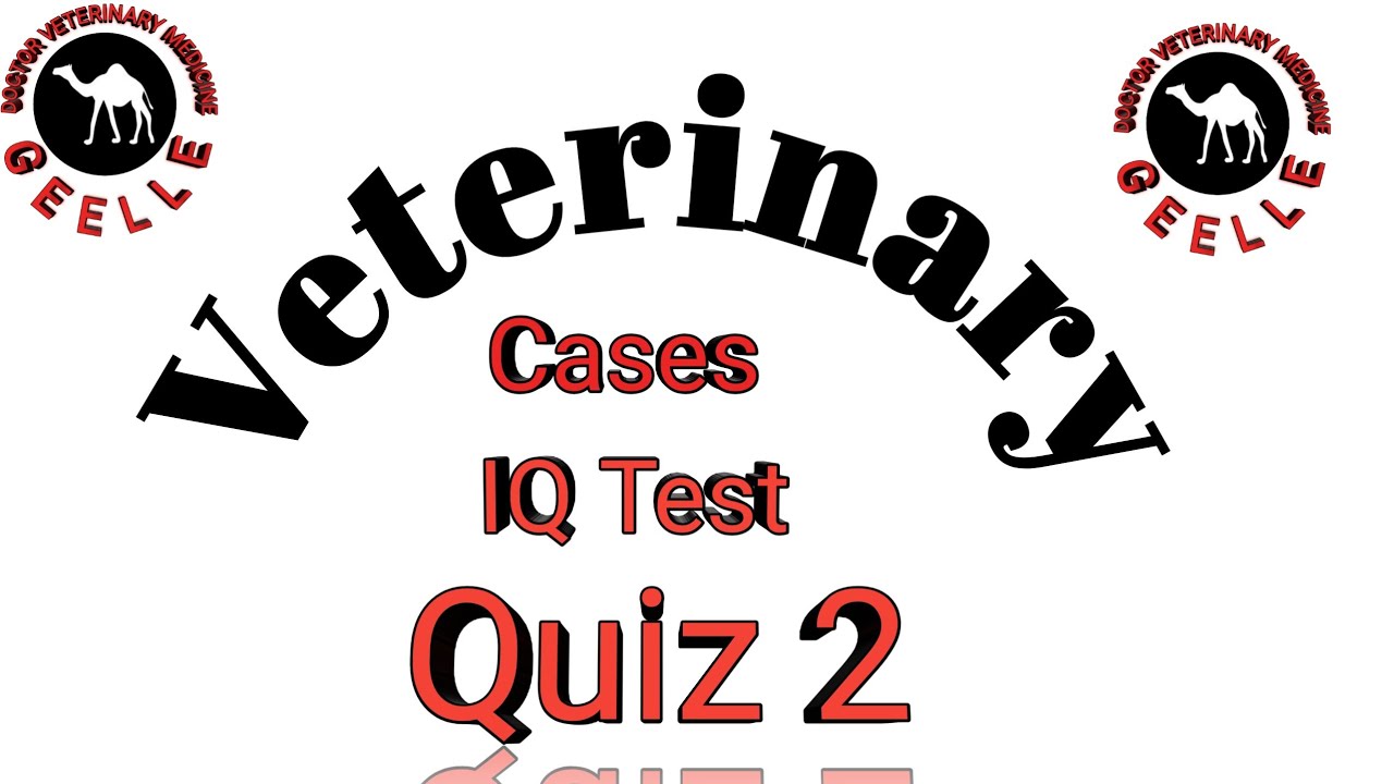 Veterinary Quiz | Part 2