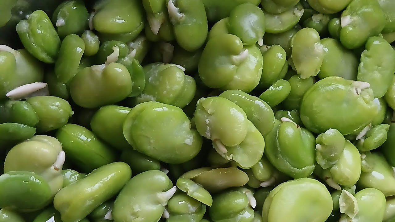 ስሙኝማ ማነው ይሄ እሸት ትዝ የሚለዉ