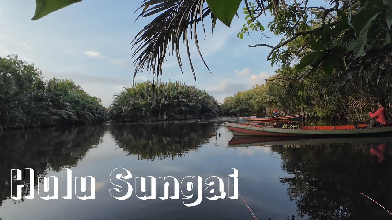 Mancing di Hulu Sungai Betuah Kalimantan yang Terkenal dengan Populasi Udang Terbaik