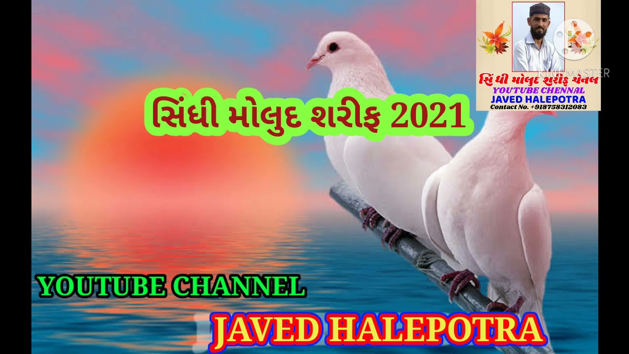 kabutar khabar de tu aahiye kitejo tu aahiye hitejo ya madhani mithe jo