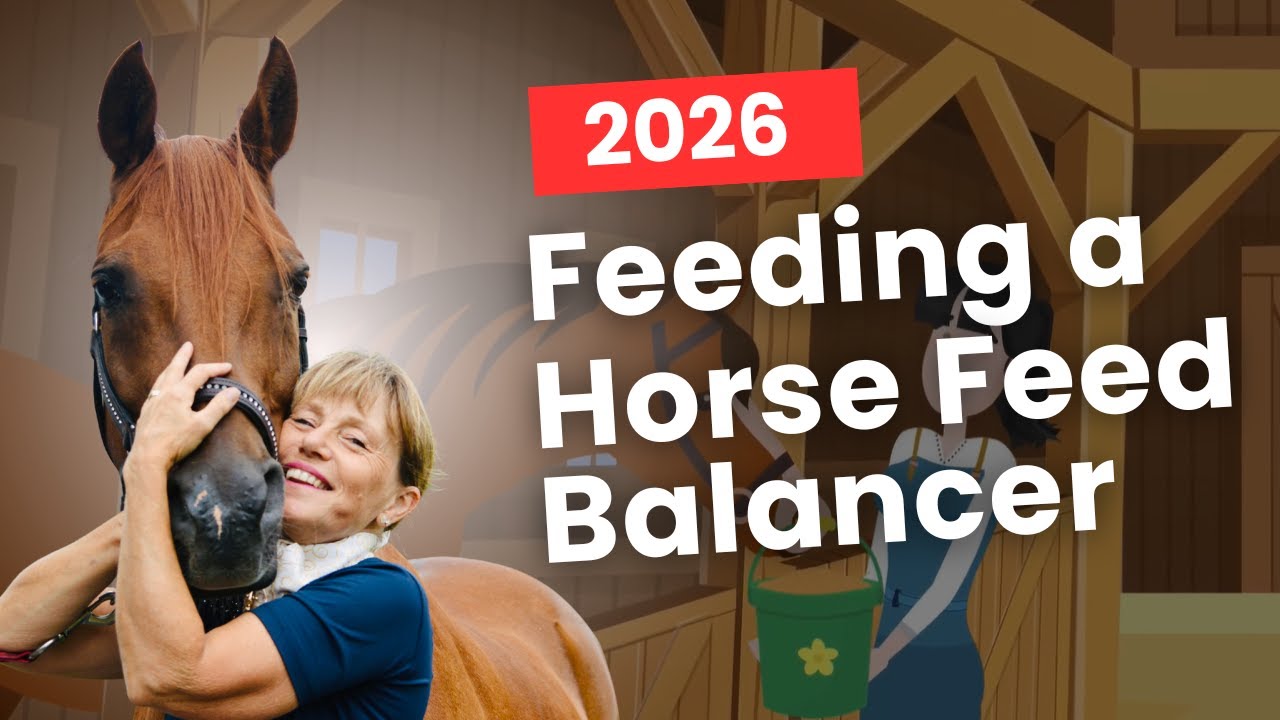 How to Feed a Horse Feed Balancer | Complete Guide 2026