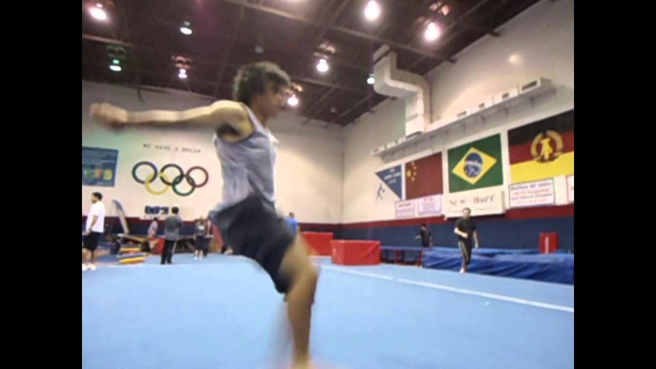 MARTIAL ARTS TRICKING - ANDY LE SAMPLER- 