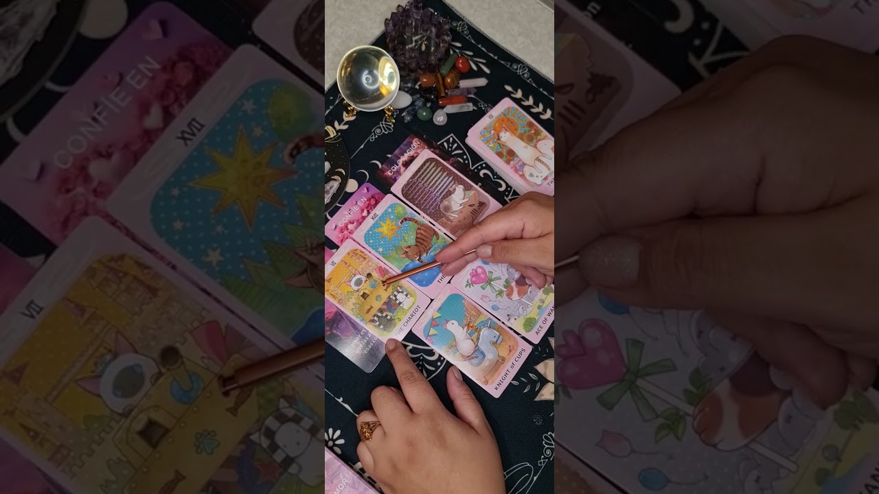 🔮 ESTA CONEXIÓN NO ES CASUALIDAD...EL AMOR TIENE UN MENSAJE PARA TI 💕💣🐈‍⬛