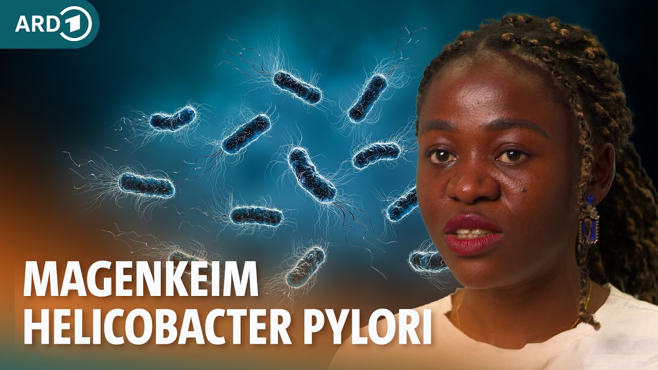 Helicobacter pylori: So gef&auml;hrlich ist der Magenkeim I ARD Gesund