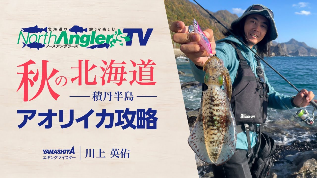 北海道･積丹半島で狙う秋のアオリイカ ～エギの使い分けやエギングで狙うべきポイント解説～