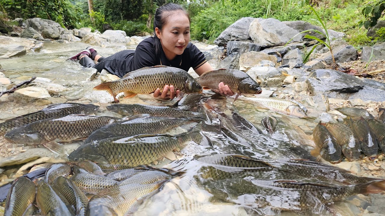 What tools did Tam prepare to catch so many giant river fish and bring them to the market to sell?