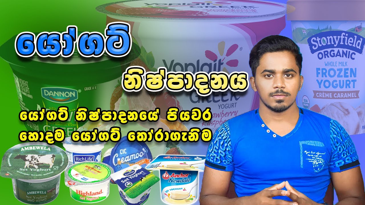 Yogurt Processing Steps| Yogurt Process Sinhala |  Food Science and Technology | Tech Food