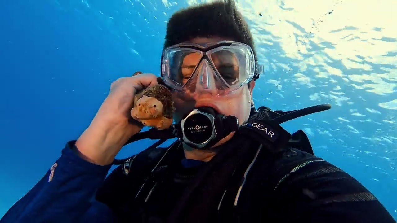 Underwater Telephone