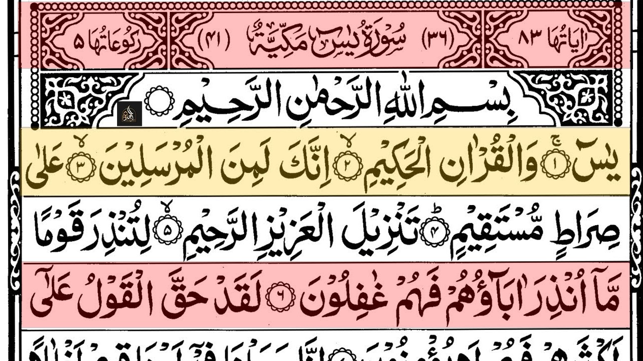 Surah Yaseen Surah Ar Rahman | Best Quran Recitation | Surah Yasin Tilawat | Episode_002