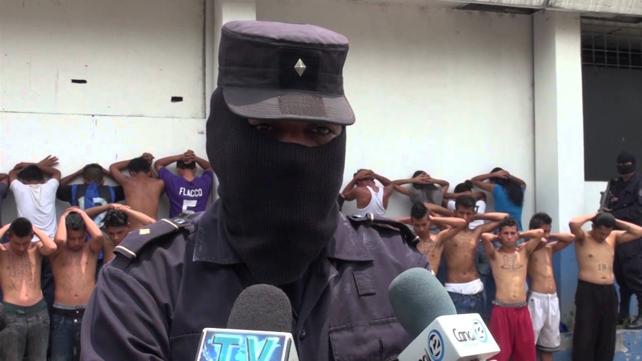 Unidad élite policial reporta más de 130 capturas