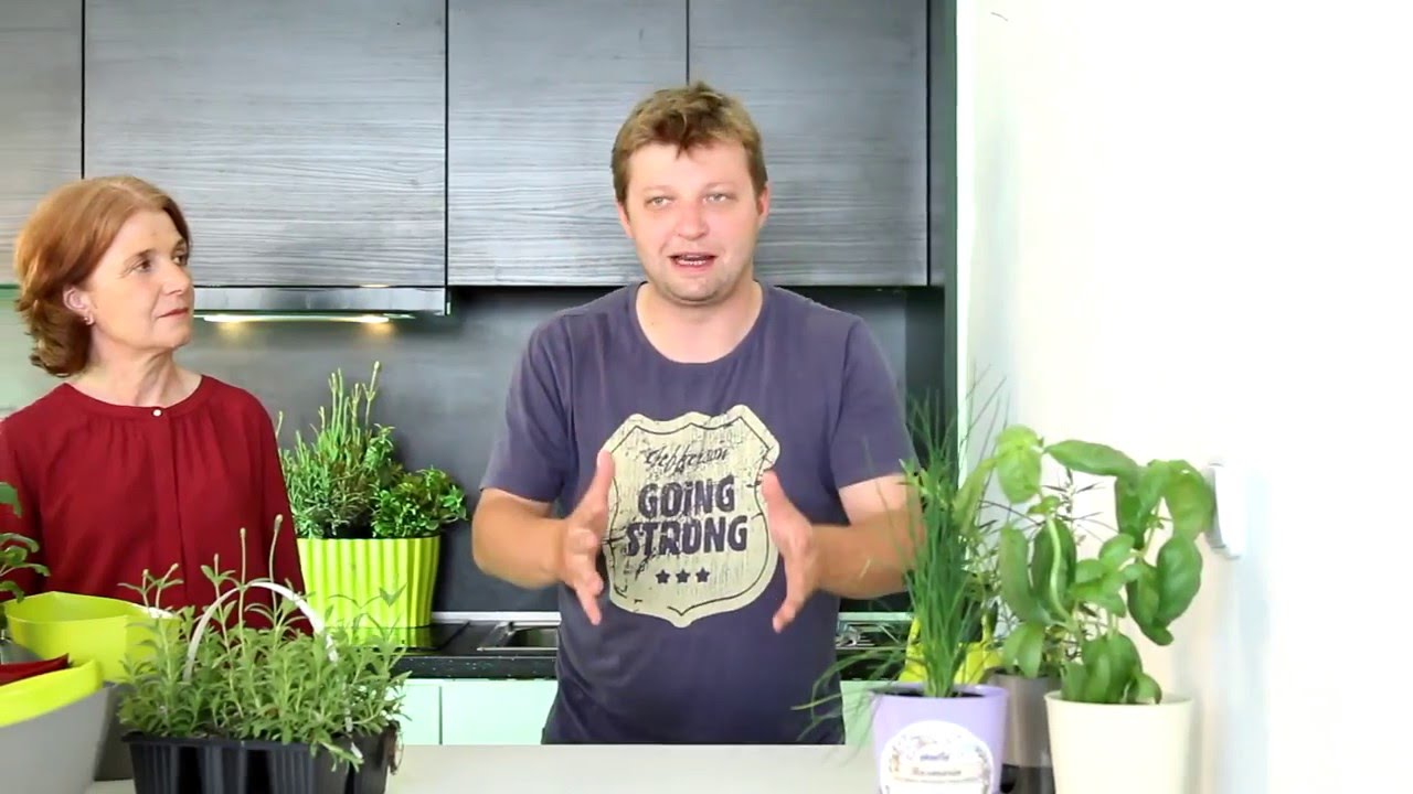 GROWSHOW - čerstvé bylinky na dosah