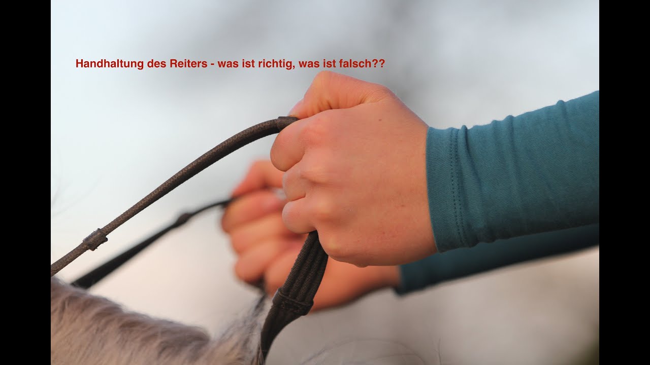 Die Handhaltung des Reiters verstehen - #besserreiten   #Littauerzügelführung