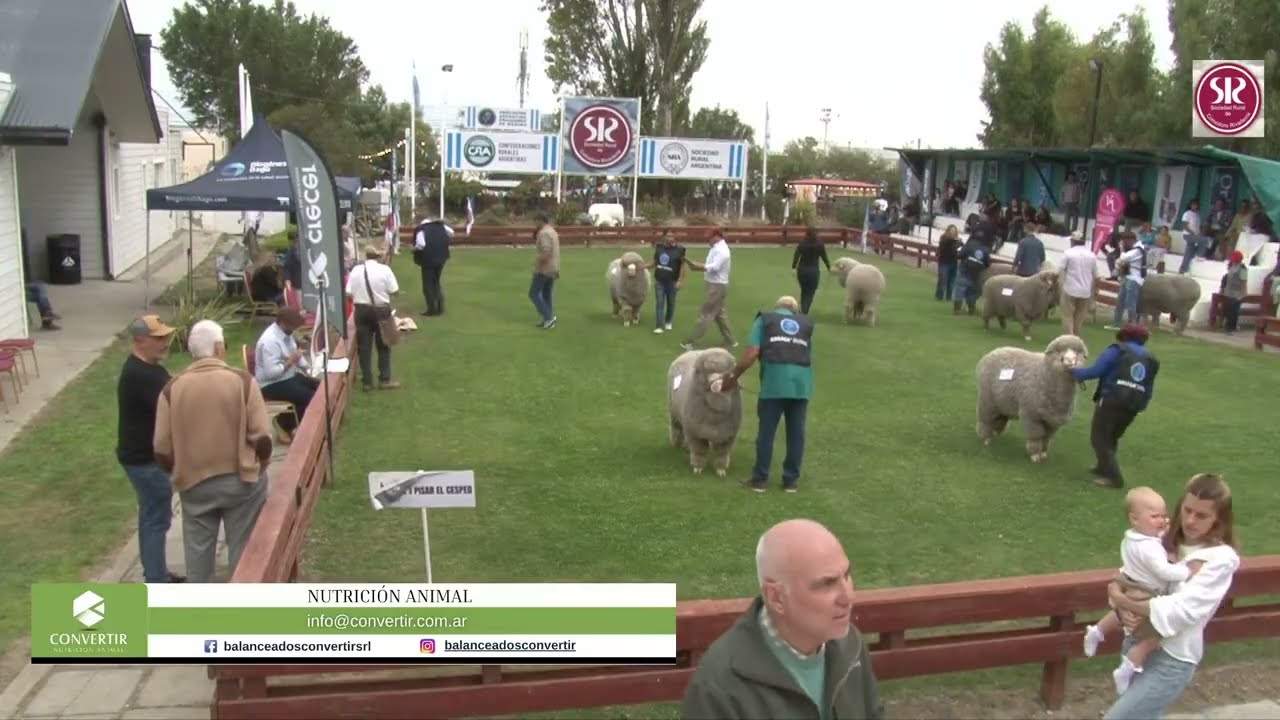 CONSAGRACION GRAN CAMPEÓN MERINO - 88 EXPOSICIÓN RURAL 2026.