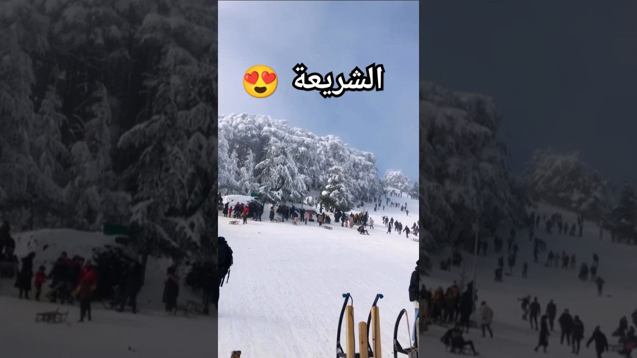 📍Chr&egrave;a , Park national 🇩🇿 .. Blida ❤️ ..&nbsp; |  #algerie #blida