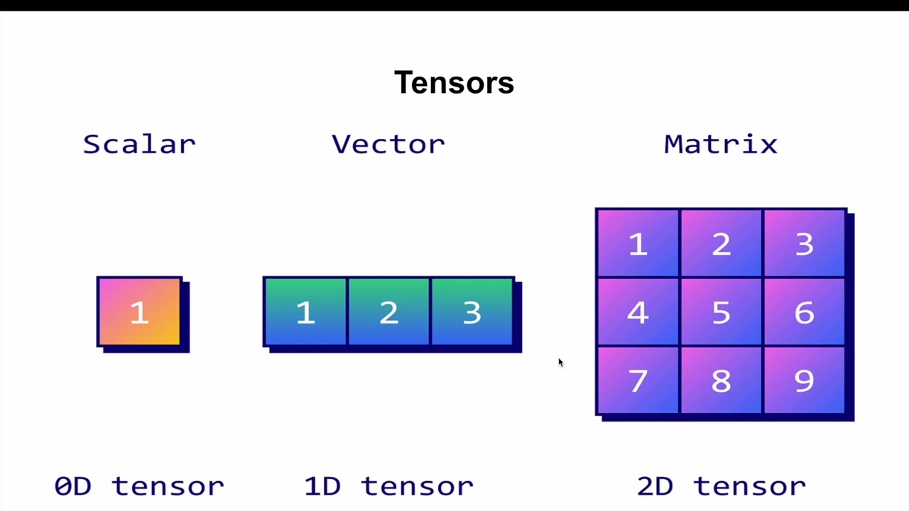 What is a Tensor? Introduction to Tensors in PyTorch: Building Blocks for Deep Learning