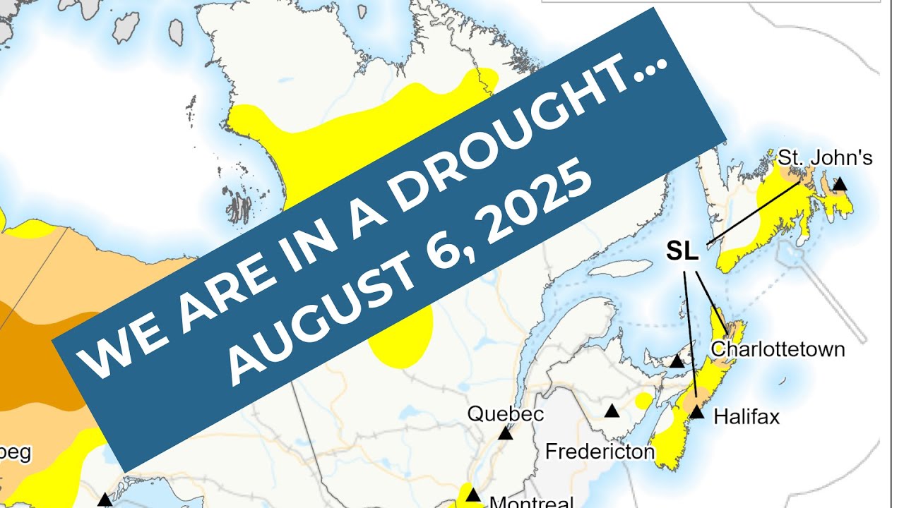 'Heat Dome' set to bring hot and dry weather to NL for next several days | August 6, 2025