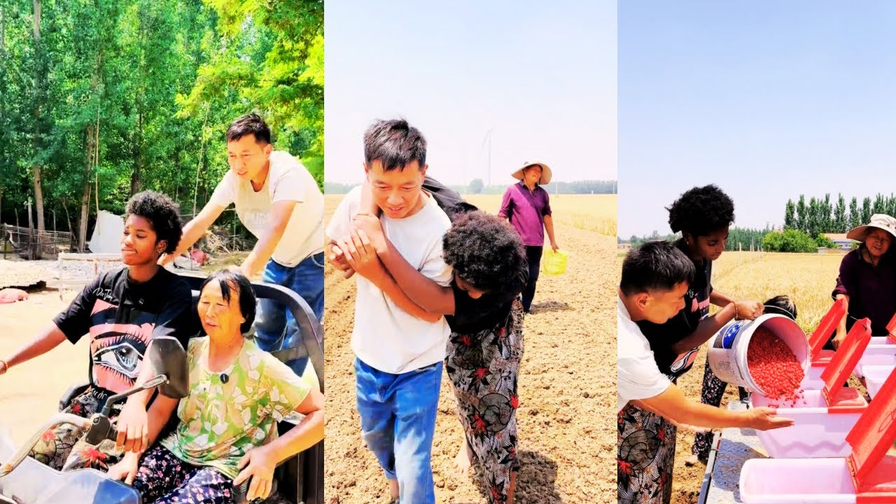 Mother-in-law takes Anjina and Jintao to plant peanuts