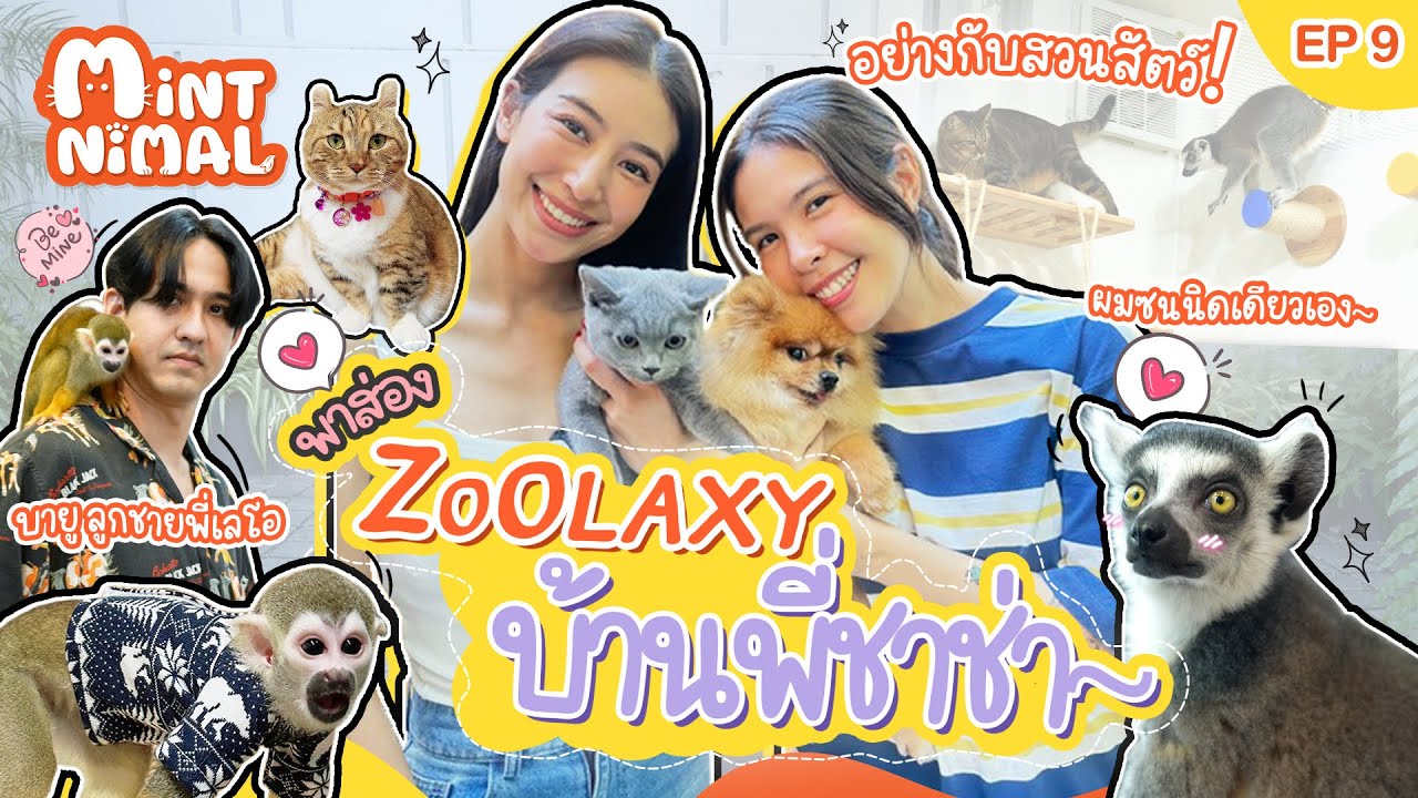 บุกบ้านพี่ชาช่า ! อาณาจักรสัตว์เลี้ยง ZOOLAXY | Mintnimal EP.9