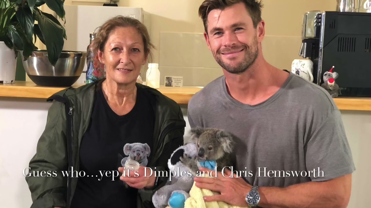 Koala Joeys, mums and more