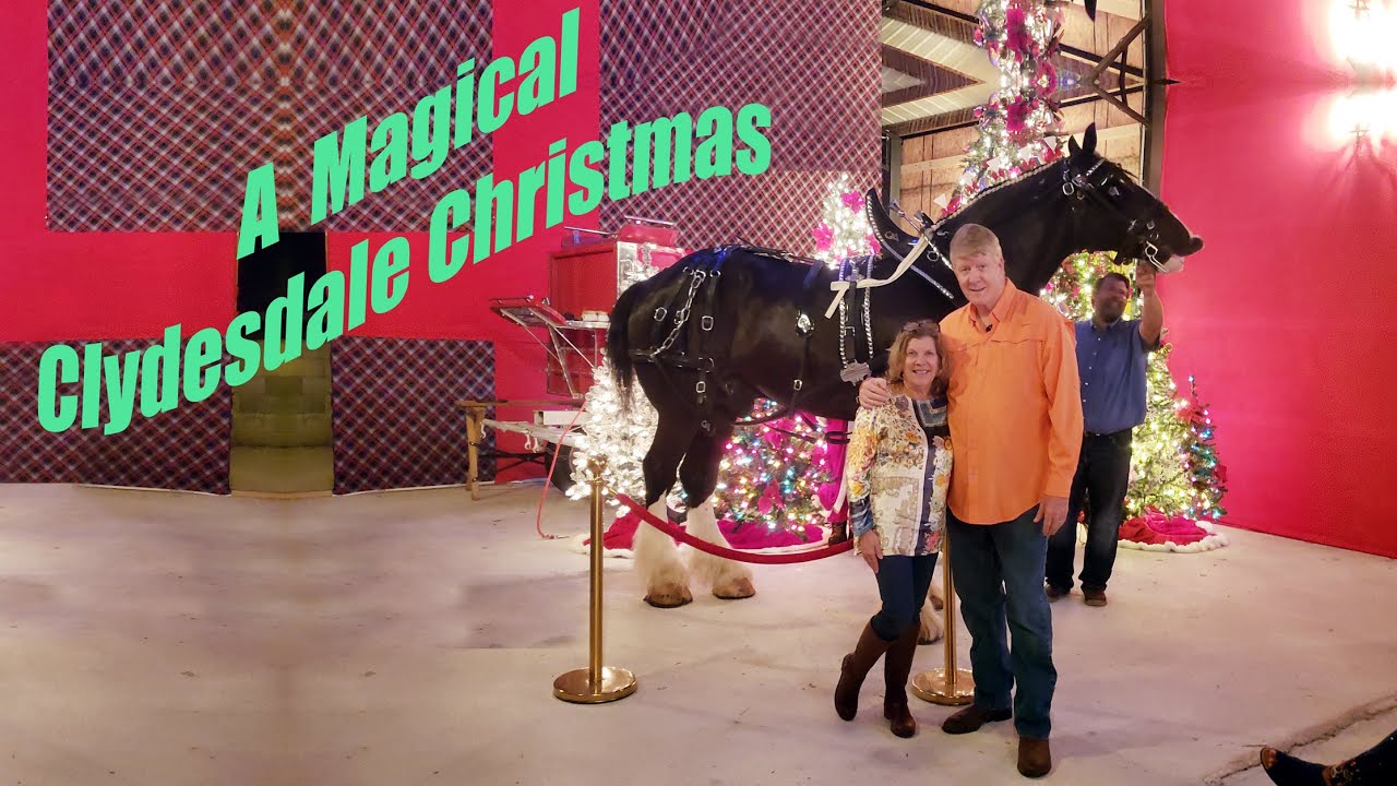 A Magical Clydesdale Christmas