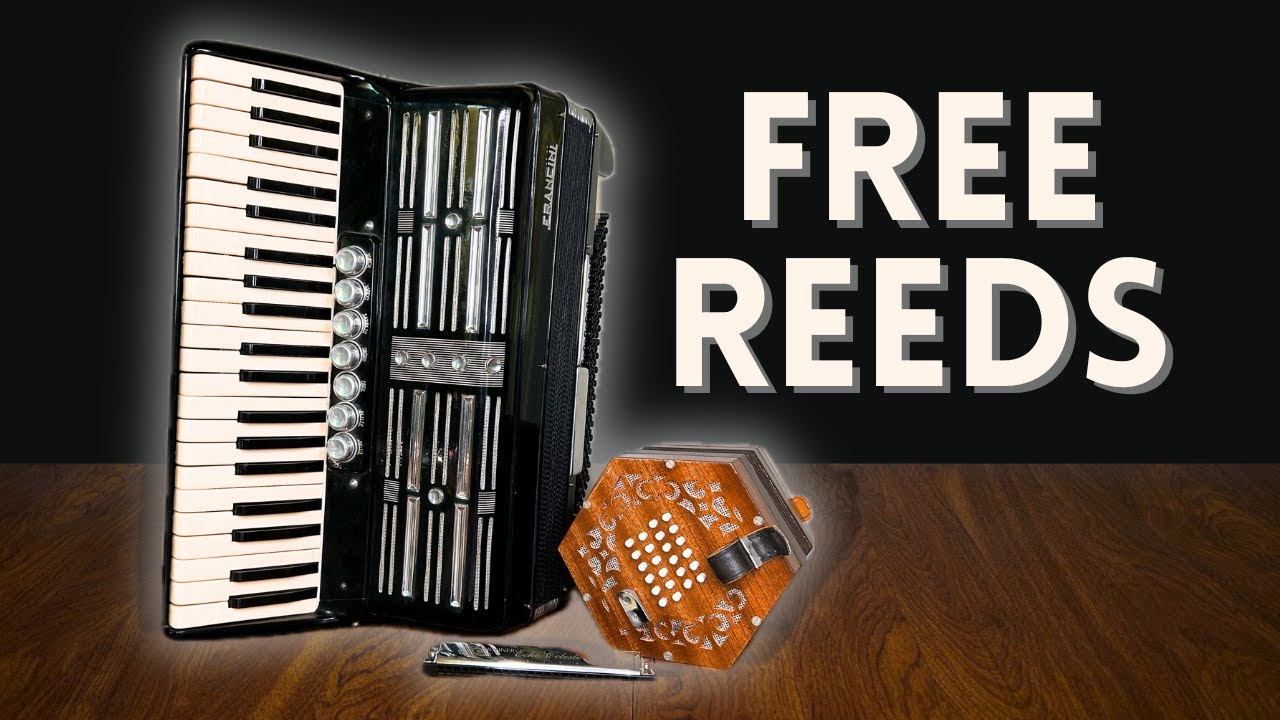 The BEST Instrument Family