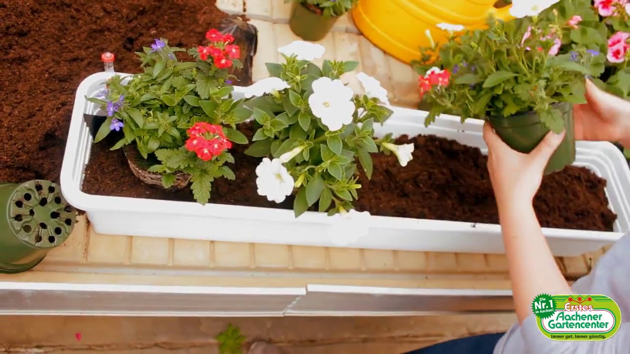 Mai – Blumenkasten bepflanzen