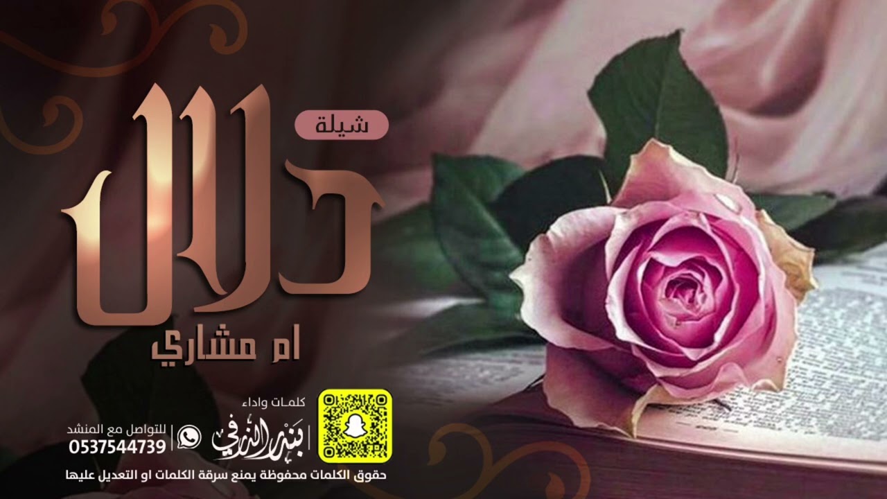 شيلة دلال ام مشاري ياعسى باب الفرح ماتصكونه | اداء بندر الذرفي