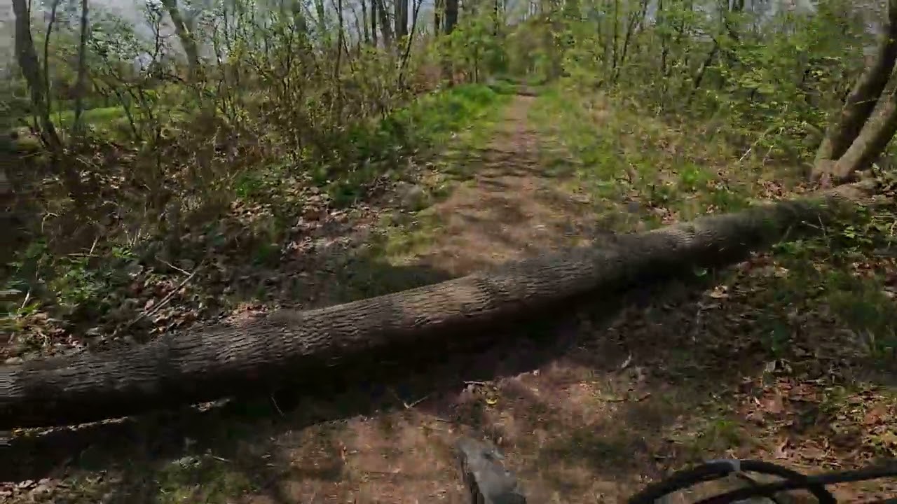 BIKE PSZCZYNA
