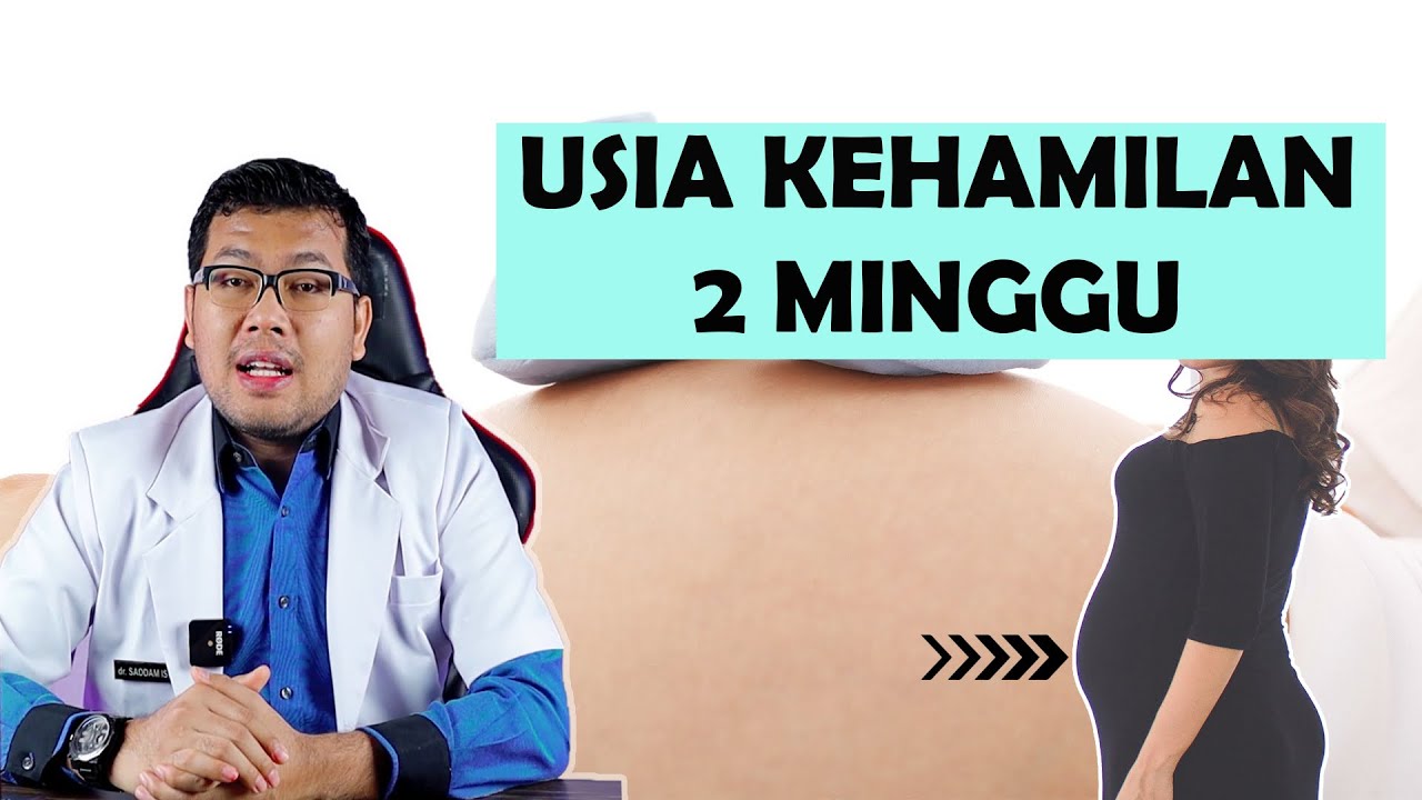 PERKEMBANGAN BAYI USIA KEHAMILAN 2 MINGGU - DOKTER SADDAM ISMAIL
