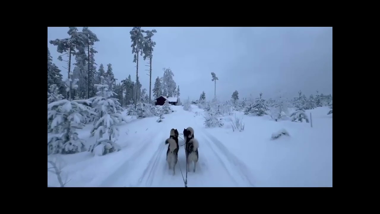 The ride to cafe igeltjärnsmon 