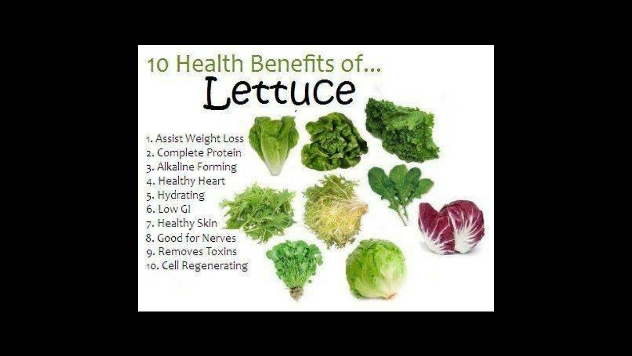 10 Health Benefits Of Lettuce