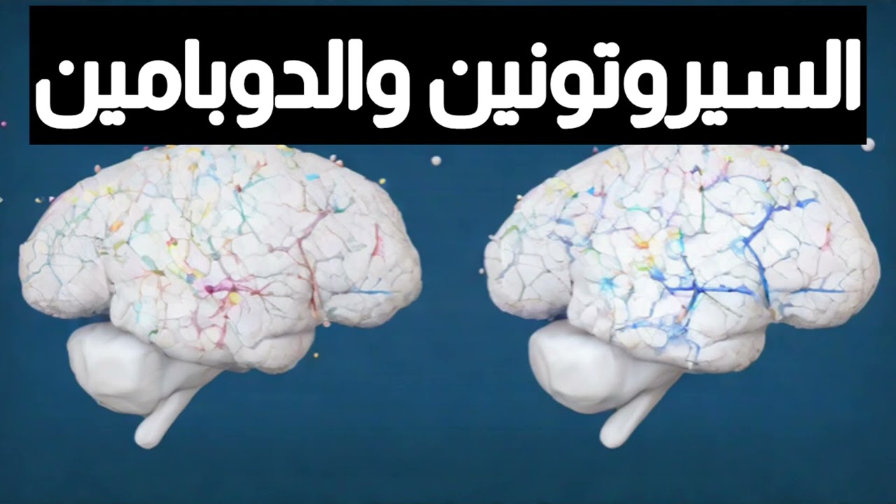 هرمونى السعادة السيروتونين والدوبامين ايه الفرق بينهم