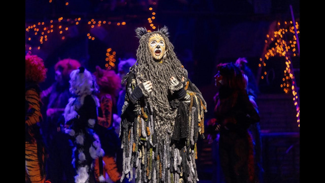 Cats the Musical - The Ad-Dressing of Cats