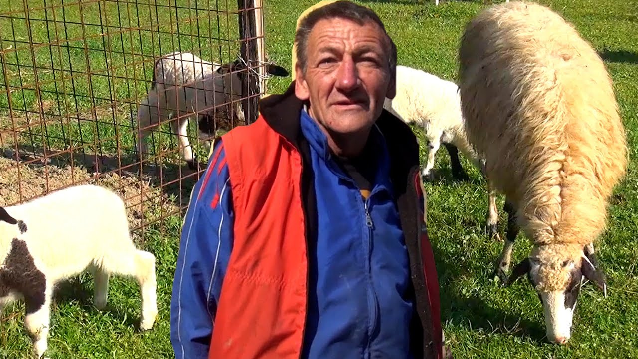Vratio se u rodni kraj i pokajao se,kaže težak je zivot ovdje.