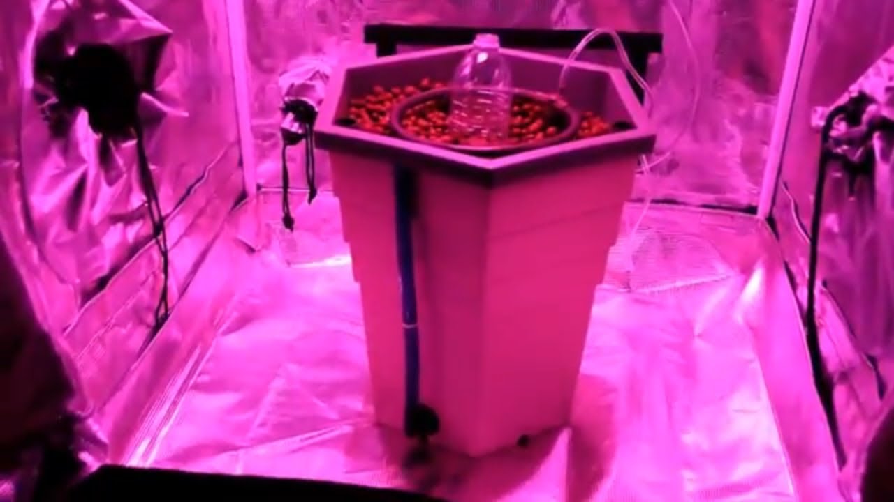 Gorilla Grow Tent