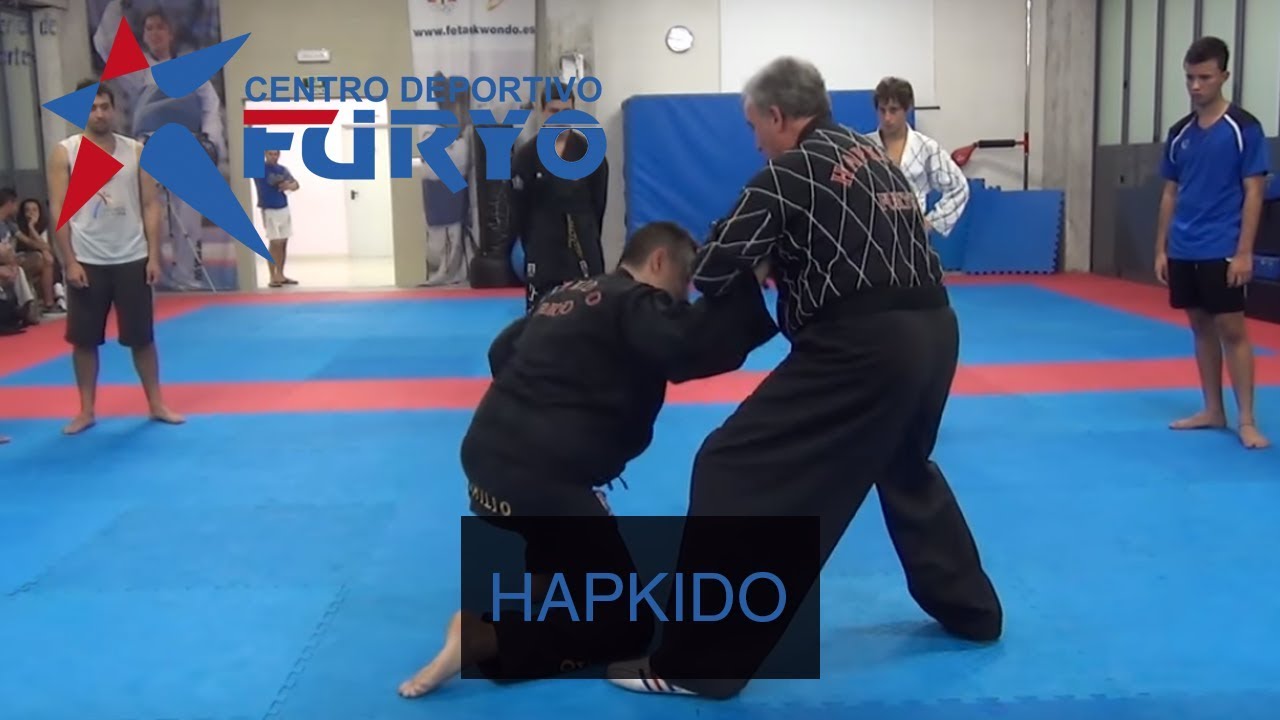 HAPKIDO FURYO 1