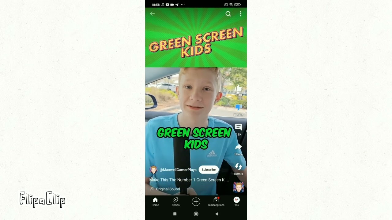 [Old Logo]#stopgreenscreenkids Stop Green Screen Kids