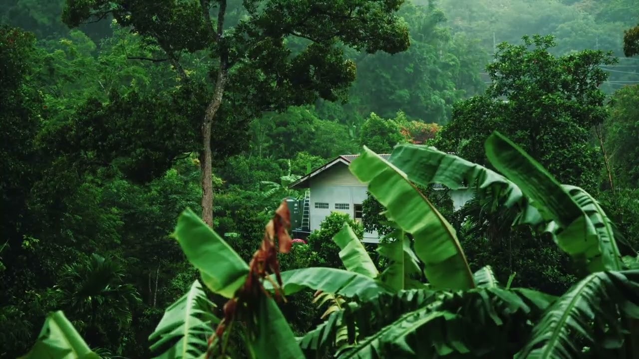 Relaxing rain sounds, Calm sounds, sleep sounds