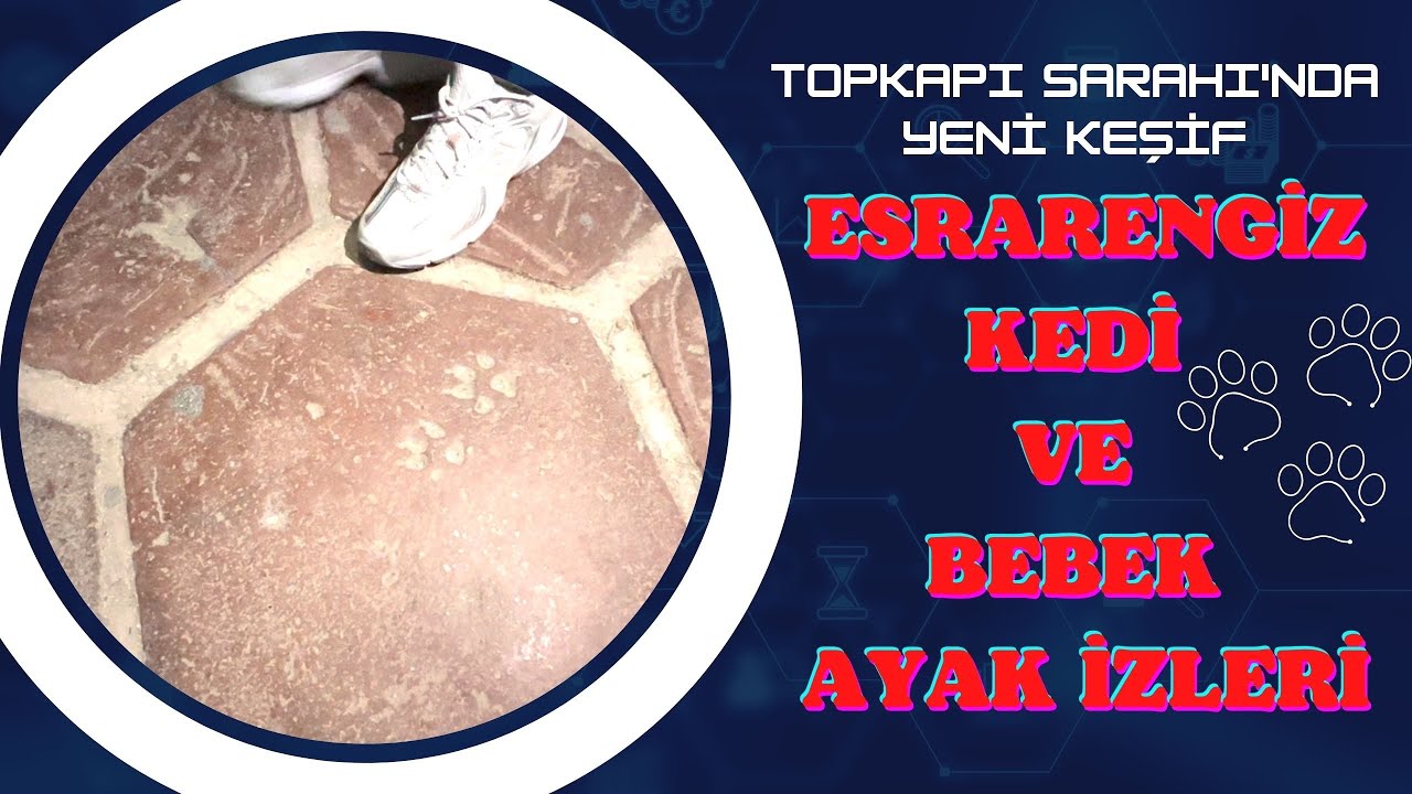 TOPKAPI SARAYI'NDA YENİ KEŞİF / ESRARENGİZ KEDİ VE BEBEK AYAK İZLERİ BULUNDU / Talha Uğurluel