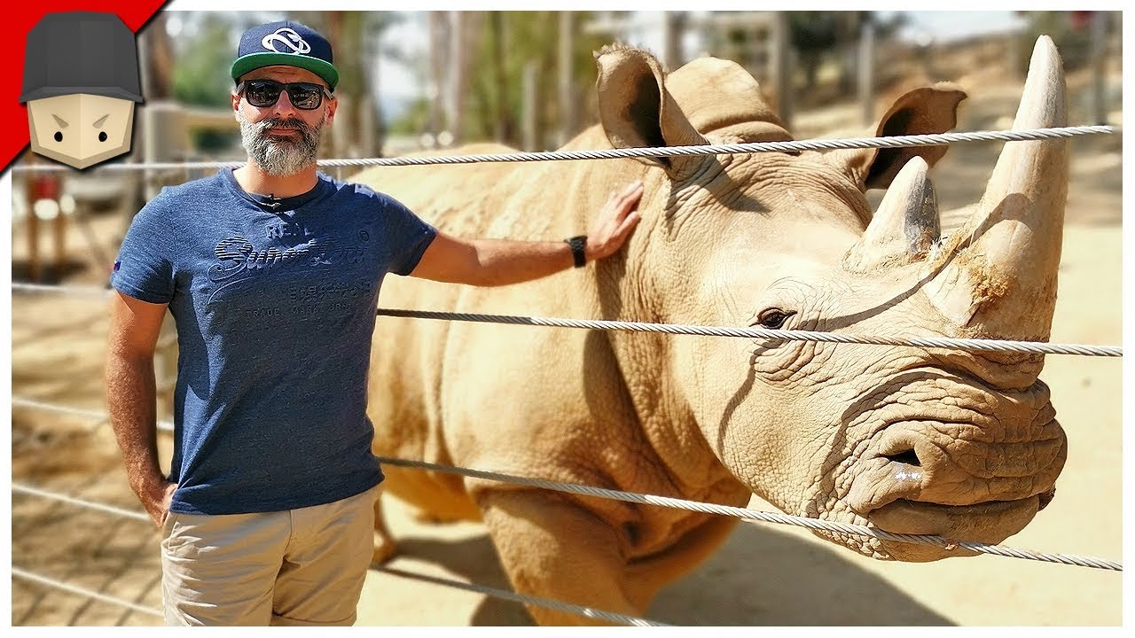 Planet Zoo In Real Life!