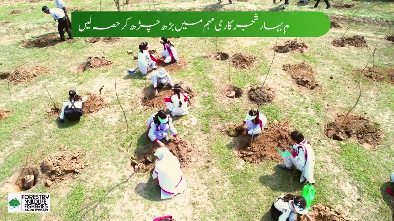 Plant Trees to Save the Environment! Join the Spring Tree Plantation Campaign 2025