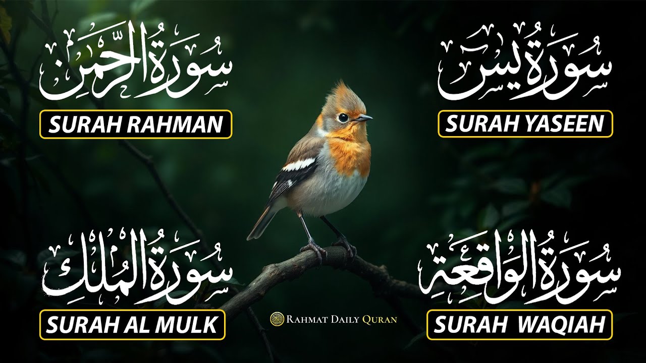 Magical Recitation Surah Yaseen (Yasin) | Surah Rahman | Surah Waqiah | Surah Mulk