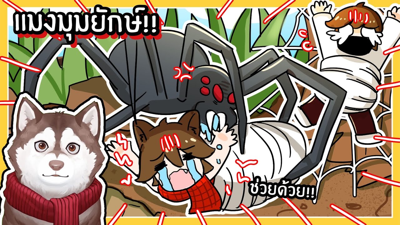 หมาสติแตกตัวจิ๋วติดอยู่ในตู้แมงมุมยักษ์! 🐾