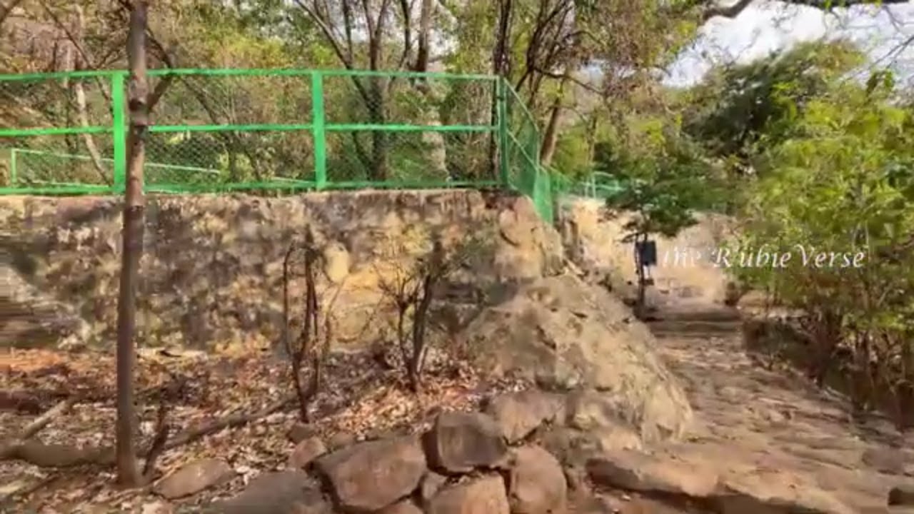 Hike to Skandasramam & Virupaksha Cave on a Holy Hill Arunachala