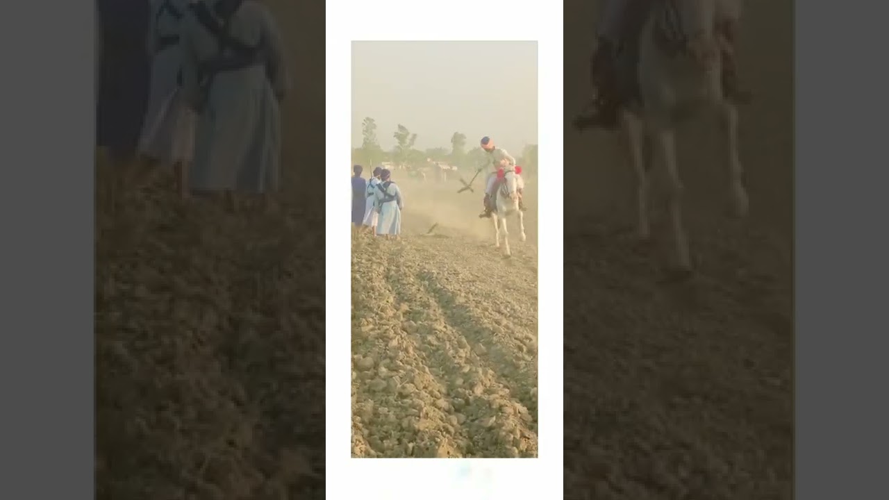 nihang singh horse riding